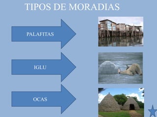 TIPOS DE MORADIAS

PALAFITAS




  IGLU




  OCAS
 