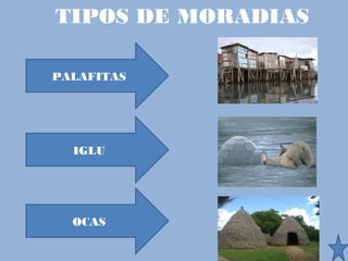 TIPOS DE MORADIAS

PALAFITAS




  IGLU




  OCAS
 