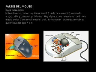 PARTES DEL MOUSE
Opto mecánicos:
botón derecho, botón izquierdo, scroll, (rueda de en medio), rueda de
abajo, cable y conector ps2Mouse . Hay algunos que tienen una ruedita en
medio de los 2 botones llamada scroll. Estos tienen una rueda mecánica
que mueve los ejes X e Y .
 
