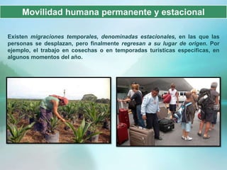 Movilidad humana permanente y estacional

Existen migraciones temporales, denominadas estacionales, en las que las
personas se desplazan, pero finalmente regresan a su lugar de origen. Por
ejemplo, el trabajo en cosechas o en temporadas turísticas específicas, en
algunos momentos del año.
 