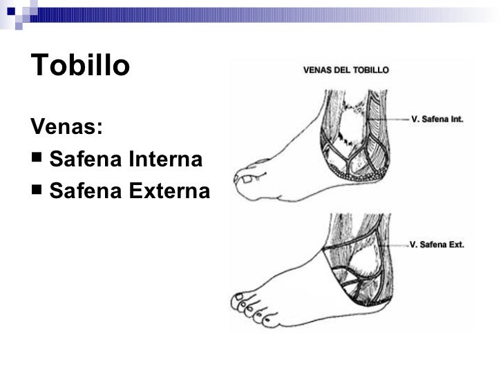 venas del tobillo