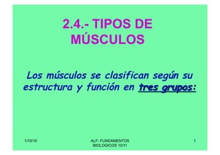 ALF- FUNDAMENTOS
BIOLOGICOS 10/11
1
2.4.- TIPOS DE
MÚSCULOS
1/10/10
 