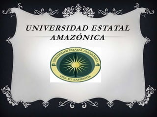 UNIVERSIDAD ESTATAL
    AMAZÓNICA
 