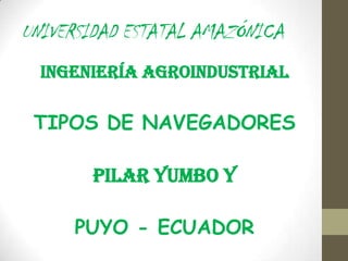 UNIVERSIDAD ESTATAL AMAZÓNICA
  INGENIERÍA AGROINDUSTRIAL

 TIPOS DE NAVEGADORES

       PILAR YUMBO Y

     PUYO - ECUADOR
 