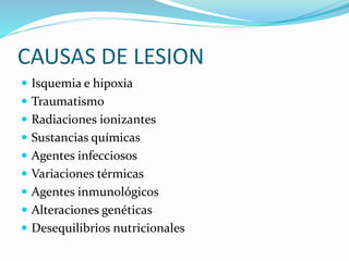 CAUSAS DE LESION
 Isquemia e hipoxia
 Traumatismo
 Radiaciones ionizantes
 Sustancias químicas
 Agentes infecciosos
 Variaciones térmicas
 Agentes inmunológicos
 Alteraciones genéticas
 Desequilibrios nutricionales
 