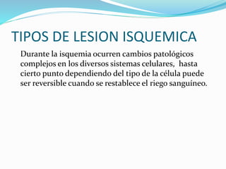 TIPOS DE LESION ISQUEMICA
Durante la isquemia ocurren cambios patológicos
complejos en los diversos sistemas celulares, hasta
cierto punto dependiendo del tipo de la célula puede
ser reversible cuando se restablece el riego sanguíneo.
 