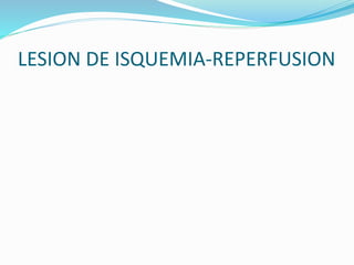 LESION DE ISQUEMIA-REPERFUSION
 