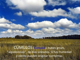 CÚMULOS (Cúmulus): nubes grises,
“algodonosas”, de días soleados. Si hay humedad
      y viento pueden originar tormentas
 
