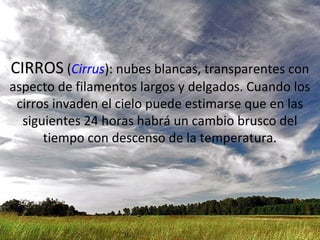 CIRROS (Cirrus): nubes blancas, transparentes con
aspecto de filamentos largos y delgados. Cuando los
 cirros invaden el cielo puede estimarse que en las
  siguientes 24 horas habrá un cambio brusco del
      tiempo con descenso de la temperatura.
 