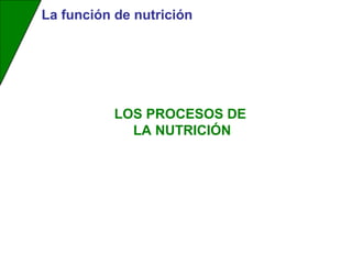 La función de nutrición
LOS PROCESOS DE
LA NUTRICIÓN
 