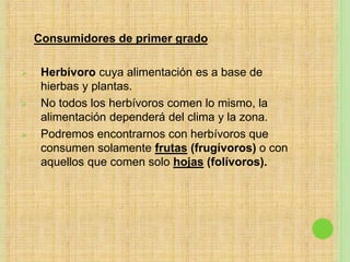 Consumidores de primer grado
 Herbívoro cuya alimentación es a base de
hierbas y plantas.
 No todos los herbívoros comen lo mismo, la
alimentación dependerá del clima y la zona.
 Podremos encontrarnos con herbívoros que
consumen solamente frutas (frugívoros) o con
aquellos que comen solo hojas (folívoros).
 