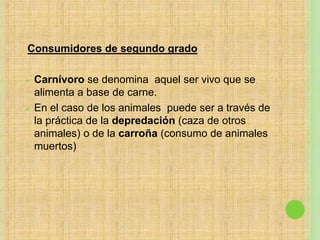 Consumidores de segundo grado
 Carnívoro se denomina aquel ser vivo que se
alimenta a base de carne.
 En el caso de los animales puede ser a través de
la práctica de la depredación (caza de otros
animales) o de la carroña (consumo de animales
muertos)
 