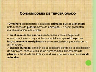 CONSUMIDORES DE TERCER GRADO
Omnívoro se denomina a aquellos animales que se alimentan
tanto a través de plantas como de animales. Es decir, presentan
una alimentación más amplia.
En el caso de los cuervos, pertenecen a esta categoría de
omnívoros, incluso, hay muchos especialistas que atribuyen su
larga presencia en el planeta a esta característica particular de su
alimentación.
Especie humana, también se la considera dentro de la clasificación
de omnívora, dado que los seres humanos nos alimentamos de
plantas, a través de las frutas y verduras y del consumo de carne de
animales.
 