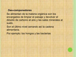 Des-componedores
Se alimentan de la materia orgánica son los
encargados de limpiar el paisaje y devolver el
dióxido de carbono al aire y las sales minerales al
suelo.
Son el último nivel cerrando así la cadena
alimentaria.
Por ejemplo: los hongos y las bacterias
 
