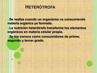 HETERÓTROFA
Se realiza cuando un organismo va consumiendo
materia orgánica ya formada.
La nutrición heterótrofa transforma los elementos
orgánicos en materia celular propia.
Se los conoce como consumidores de primer,
segundo y tercer grado.
 