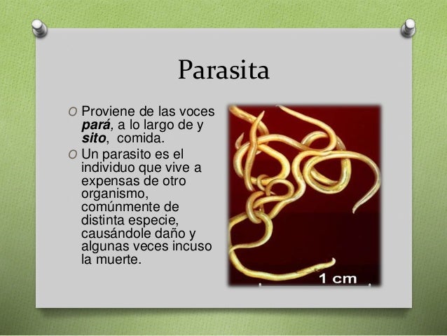 Tipos e Nutrición
