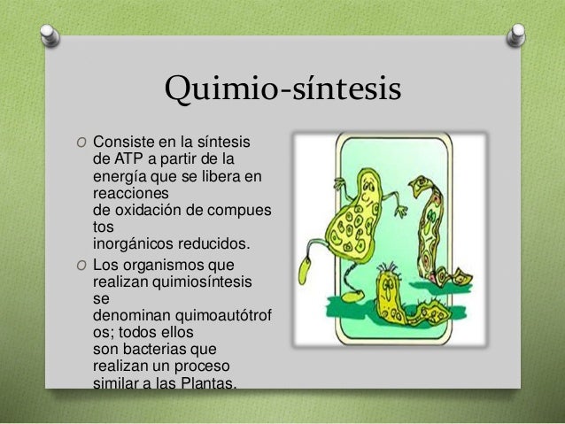 Tipos e Nutrición