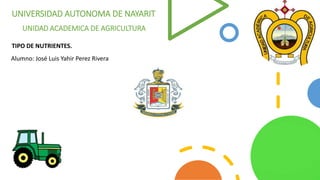 UNIVERSIDAD AUTONOMA DE NAYARIT
UNIDAD ACADEMICA DE AGRICULTURA
Alumno: José Luis Yahir Perez Rivera
TIPO DE NUTRIENTES.
 
