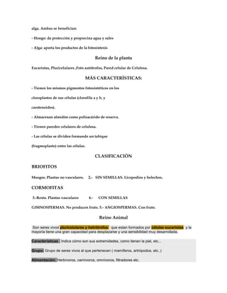 alga. Ambos se benefician:
- Hongo: da protección y proporcina agua y sales
- Alga: aporta los productos de la fotosíntesis
Reino de la planta
Eucariotas, Pluricelulares ,Foto autótrofos, Pared celular de Celulosa.
MÁS CARACTERÍSTICAS:
- Tienen los mismos pigmentos fotosintéticos en los
cloroplastos de sus células (clorofila a y b, y
carotenoides).
- Almacenan almidón como polisacárido de reserva.
- Tienen paredes celulares de celulosa.
- Las células se dividen formando un tabique
(fragmoplasto) entre las células.
CLASIFICACIÓN
BRIOFITOS
Musgos. Plantas no vasculares. 2.- SIN SEMILLAS. Licopodios y helechos.
CORMOFITAS
3.-Resto. Plantas vasculares 4.- CON SEMILLAS
GIMNOSPERMAS. No producen fruto. 5.- ANGIOSPERMAS. Con fruto.
Reino Animal
Son seres vivod pluricelulares y hetrótrofos que estan formados por células eucariotas y la
mayoría tiene una gran capacidad para desplazarse y una sensibilidad muy desarrollada.
Características : Indica cómo son sus extremidades, como tienen la piel, etc...
Grupo: Grupo de seres vivos al que pertenecen ( mamíferos, artrópodos, etc..)
Alimentación: Herbívoros, carnívoros, omnívoros, filtradores etc.
 