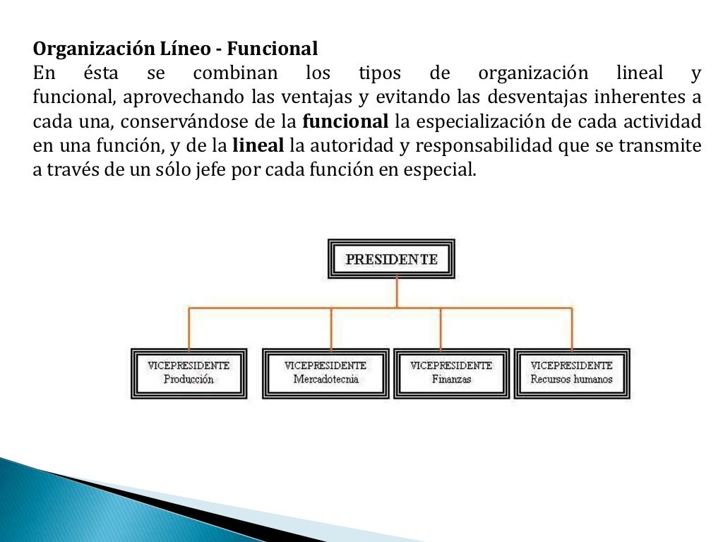 Tipos de organización