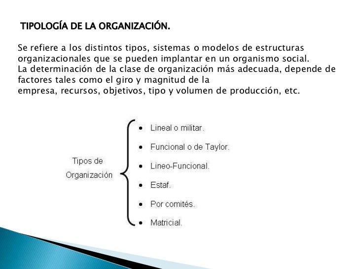 Tipos de organización
