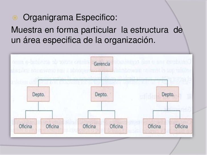 Tipos de organización