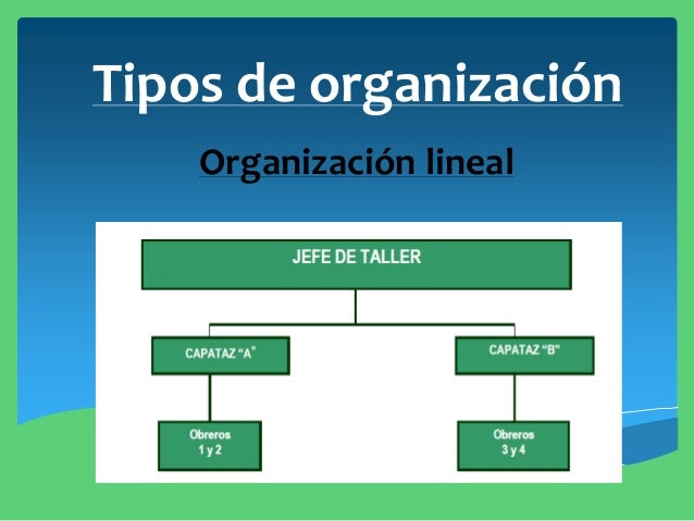 Resultado de imagen para organizacion lineal
