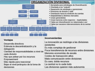 Tipos de organizacion