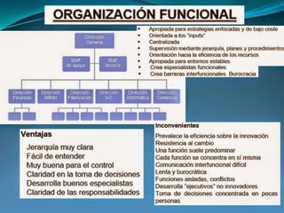 Tipos de organizacion