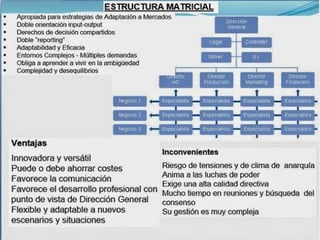Tipos de organizacion