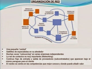 Tipos de organizacion