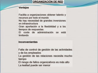 Tipos de organizacion