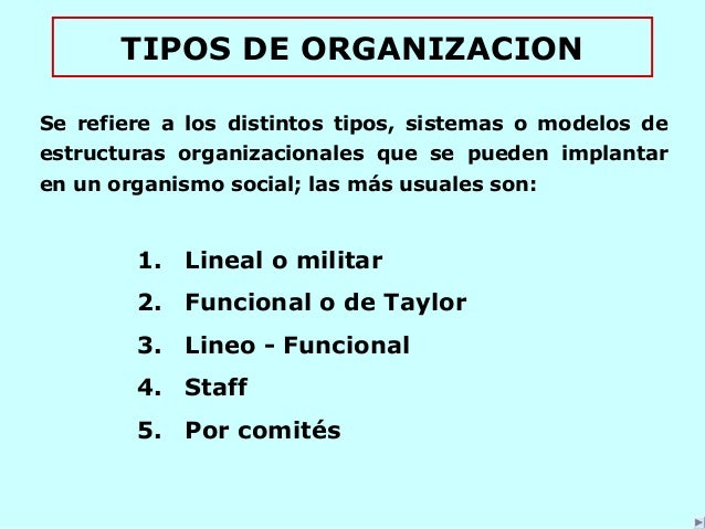 Tipos de organizacion