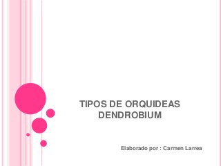 TIPOS DE ORQUIDEAS
DENDROBIUM
Elaborado por : Carmen Larrea
 