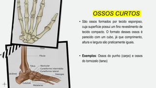 TIPOS DE OSSOS o corpo humano enfer.pptx