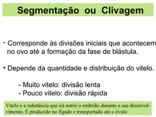 EMBRIOLOGIASegmentação ou Clivagem
• Corresponde às divisões iniciais que acontecem
no ovo até a formação da fase de blástula.
• Depende da quantidade e distribuição do vitelo.
- Muito vitelo: divisão lenta
- Pouco vitelo: divisão rápida
Vitelo é a substância que irá nutrir o embrião durante o seu desenvol-
vimento. É produzido no fígado e transportado até o óvulo
 