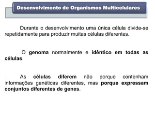 Durante o desenvolvimento uma única célula divide-se
repetidamente para produzir muitas células diferentes.
Desenvolvimento de Organismos Multicelulares
O genoma normalmente e idêntico em todas as
células.
As células diferem não porque contenham
informações genéticas diferentes, mas porque expressam
conjuntos diferentes de genes.
 