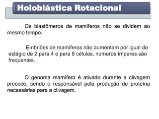 Holoblástica Rotacional
Os blastômeros de mamíferos não se dividem ao
mesmo tempo.
Embriões de mamíferos não aumentam por igual do
estágio de 2 para 4 e para 8 células, números ímpares são
frequentes.
O genoma mamífero é ativado durante a clivagem
precoce, sendo o responsável pela produção de proteína
necessárias para a clivagem.
 