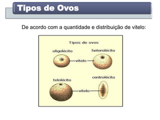 De acordo com a quantidade e distribuição de vitelo:
Tipos de Ovos
 