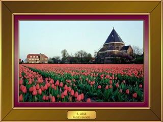 4. LISSE
PAÍSES BAIXOS
 