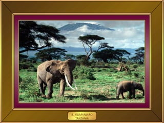 8. KILIMANJARO
TANZÂNIA
 