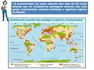 A humanização do nosso planeta tem sido de tal modo
intensa que as verdadeiras paisagens naturais são hoje
quase inexistentes, estando limitadas a algumas regiões
do Mundo.
 