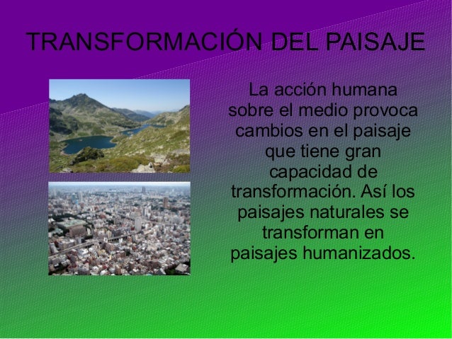 Tipos de paisajes