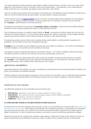 Los colores eléctricos de las plumas de estos pájaros suelen combinar el rojo y el verde, como en el caso de los
agapornis, pero también el azul y el amarillo, como en los guacamayos. Y hay pajaritos, como el diamante de
Gould, el lori arco iris o el quetzal, que llegan a tener entre tres y seis colores.
Como en muchas otras especies de la naturaleza, los machos son más llamativos que las hembras, puesto que su
color es uno de los factores que las hacen elegir "el mejor partido" en época de apareo.
Entre los países que más especies exóticas ofrecen al mundo, los que poseen selvas tropicales son los primeros,
puesto que son el lugar de origen del gran número de estas aves. Por ejemplo, el turpial es el ave nacional
de Venezuela , donde también vive el lindo cardenal.
El quetzal lo encontramos en las selvas de Guatemala, México y Costa Rica , el país en el que también podemos
encontrar más de cuarenta especies de colibrí y varias especies de tucán.
Pero si hablamos de selva, no podemos dejar hablar de Brasil , ya ocupamos el tercer puesto en el número de
individuos en América del Sur. Y es que posee la selva amazónica, donde, por ejemplo, habita el pájaro péndulo,
especie que también habita en otras zonas de América Central y en las islas del Caribe.
El guacamayo jacinto cada vez tiene menos árboles donde anidar debido a la deforestación causada por la
ganadería, los incendios y los aviones hidrográficos del país.
Colombia se ha convertido en paso obligado para las aves que migran en América y, con el 20% de la población
mundial de pájaros, es el paraíso para los amantes de las aves.
Una especie curiosa y endémica del lugar es el tucancito culirrojo. Y, sin entrar en detalle, podemos encontrar
infinidad de especies, contando con más tipos de tucanes, guacamayas, pericos, etc.
También podemos incluir otras partes del mundo, ya que las cacatúas, al igual que los periquitos, provienen
de Australia . Y hay pajarillos que forman parte de esta clasificación, así como palomas, zancudas, patos y
algunas gallináceas, cuyos hábitats están repartidos por todo el globo.
¿QUÉ ES UNA AVE EXÓTICA?
Específicamente las aves exóticas son aves no autóctonas, que provienen de las selvas tropicales de América, de
África y de Australia, sus hábitats naturales.
También podemos encontrar algunas especies, como los canarios no amarillos, que son específicamente exóticos
por no encontrarse originalmente en la naturaleza, sino que han sido creados mediante un proceso selectivo.
Clasificación de aves tropicales
Las diferentes especies de aves tropicales que encontramos son:
 Psittaciformes : guacamayos, loros, pericos, cotorras, periquitos, cacatúas y lories.
 Passeriformes : aves canoras de colores vistosos (jilguero, pinzón, canario, abubilla, oropéndola).
 Columbiformes : palomas, incluidas las domésticas.
 Galliformes : pollos, codornices, pavos o faisanes.
CUANDO DECIDE TENER UN PÁJARO EXÓTICO COMO MASCOTA
Si quieres tener uno de estos pájaros como mascota, ya sea un ave pequeña como si quieres tener una gran ave de
movimiento lento y larga vida , antes debes informarte bien de si es legal su posesión y qué papeles son necesarios
para que todo esté en orden y no contribuir así al tráfico de animales exóticos, algunos de los cuales están en
peligro de extinción. Por eso, es bueno que acudas a una tienda, ya que la venta entre particulares es ilegal.
Después de aprender los cuidados que necesitan estos pájaros y elegir bien el lugar donde están los colores en
casa, la temperatura de la habitación, la jaula que utiliza, su dieta y cómo cuidarlo para que no enfermeras.
 