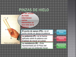 La potencia (P).- es la fuerza
aplicada sobre la palanca con
finalidad de mover al cuerpo
La resistencia (R) .- Esta
representada por el Peso del
cuerpo que se pretende mover
El punto de apoyo (PA).- es el
punto donde se apoya la palanca
Base
Tenazas
Dedos
 