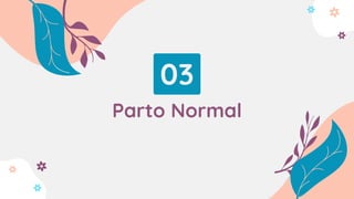 03
Parto Normal
 