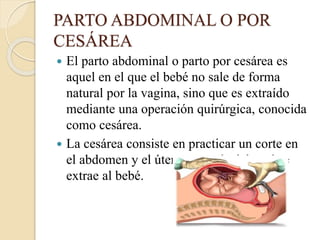 PARTO ABDOMINAL O POR
CESÁREA
 El parto abdominal o parto por cesárea es
aquel en el que el bebé no sale de forma
natural por la vagina, sino que es extraído
mediante una operación quirúrgica, conocida
como cesárea.
 La cesárea consiste en practicar un corte en
el abdomen y el útero, a través del cual se
extrae al bebé.
 
