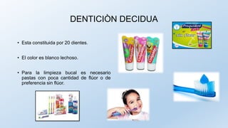 DENTICIÒN DECIDUA
• Esta constituida por 20 dientes.
• El color es blanco lechoso.
• Para la limpieza bucal es necesario
pastas con poca cantidad de flúor o de
preferencia sin flúor.
 