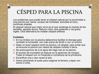 CÉSPED PARA LA PISCINA
Los problemas que puede tener el césped natural por la proximidad a
una piscina son varios: exceso de humedad, toxicidad al cloro,
continuas pisadas
El césped natural que mejor sirve es el que contenga la mezcla de las
semillas: agrostis tenuis, festuca rubra, poa pratensis y ray-grass
inglés. Otra alternativa es instalar césped artificial.
Cuidados
O En los límites con la piscina deberemos facilitar el drenaje para
combatir la humedad, con más arena de fondo o con un pincho.
O Dejar un buen espacio entre la piscina y el césped, para evitar que
se ensucie la piscina con restos de césped cortado o tierra.
O No preocuparnos de si el agua del riego cae en la piscina.
O El exceso de humedad se traduce en la aparición de hongos.
Tratar el césped con un fungicida a comienzos de la primavera.
O Escarificar una o dos veces al año.
O Airear pinchando el suelo para oxigenar el terreno y tapar con
arena o turba.
 