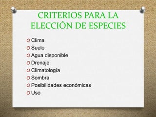 CRITERIOS PARA LA
ELECCIÓN DE ESPECIES
O Clima
O Suelo
O Agua disponible
O Drenaje
O Climatología
O Sombra
O Posibilidades económicas
O Uso
 